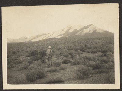 Figure in Landscape by Louis Fleckenstein