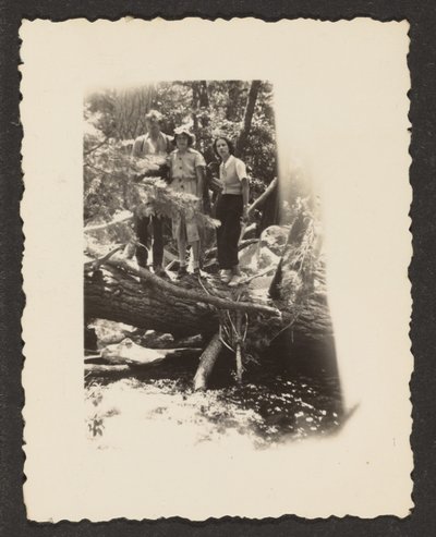 Figures in Woods by Louis Fleckenstein