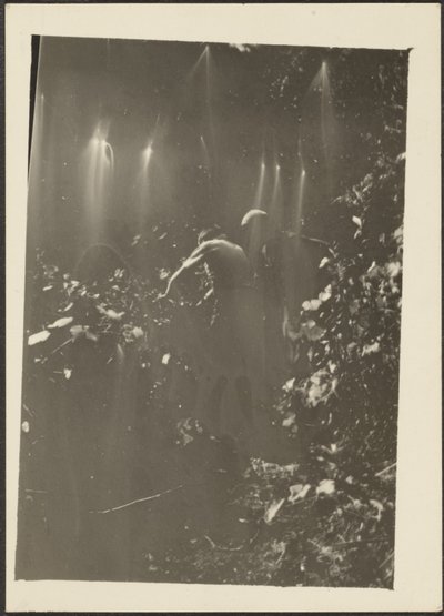 Figures in Woods by Louis Fleckenstein
