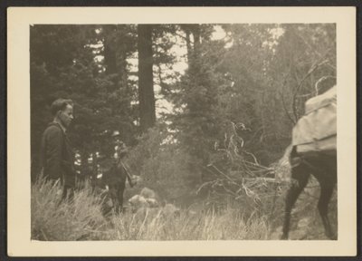 Figures in a Woodsy Landscape by Louis Fleckenstein