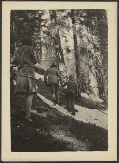 Figures in the Woods by Louis Fleckenstein