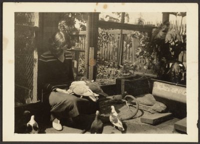 Florence with Pigeons by Louis Fleckenstein