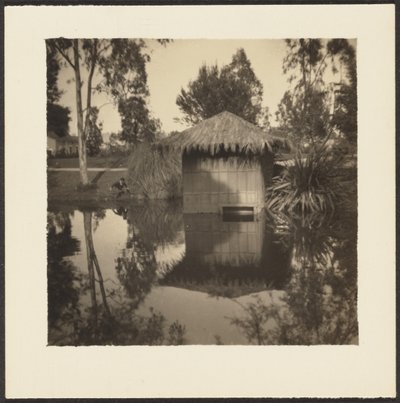 Hut on Pond by Louis Fleckenstein