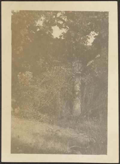 Landscape by Louis Fleckenstein