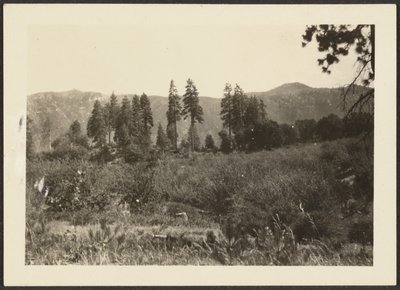 Landscape by Louis Fleckenstein