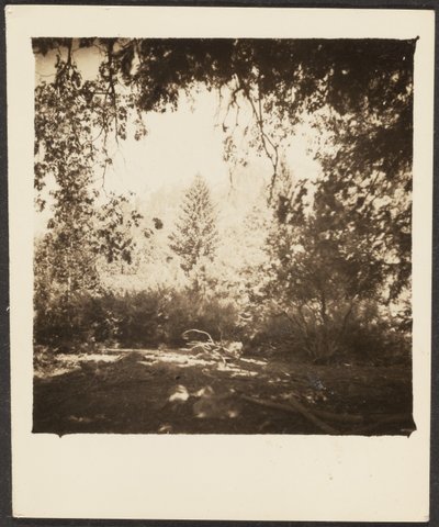 Landscape by Louis Fleckenstein