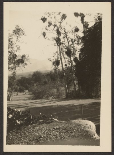 Landscape by Louis Fleckenstein