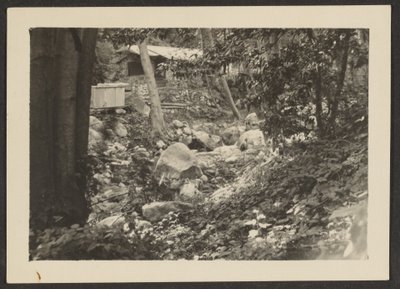 Landscape by Louis Fleckenstein