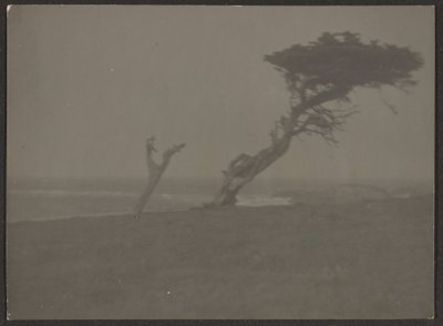 Landscape by Louis Fleckenstein