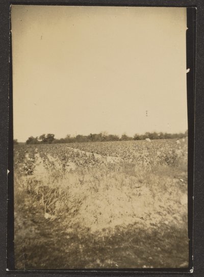 Landscape by Louis Fleckenstein