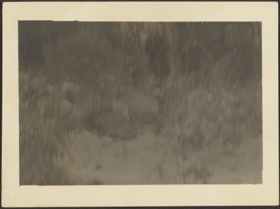 Landscape by Louis Fleckenstein