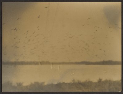Landscape with Birds by Louis Fleckenstein
