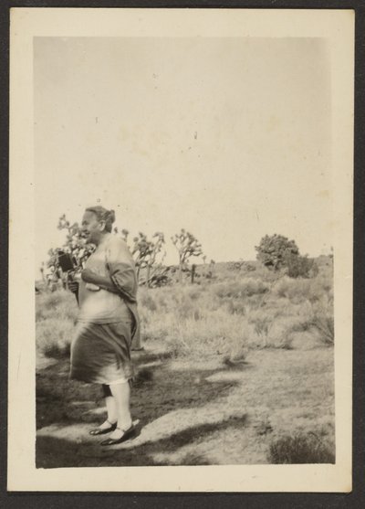 Mrs. Fleckenstein in Landscape by Louis Fleckenstein