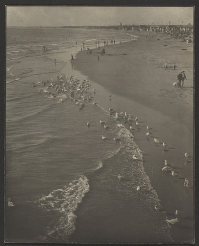 Newport Beach by Louis Fleckenstein
