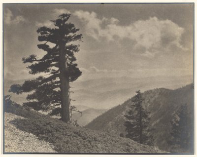 On Ridge to Old Baldy by Louis Fleckenstein