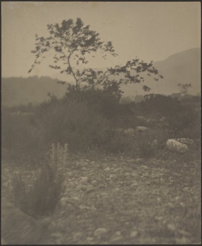 Rocky Landscape by Louis Fleckenstein