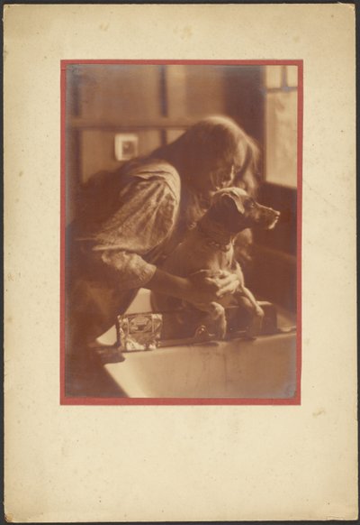Shampoo Day by Louis Fleckenstein
