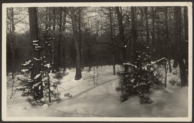 Snowy Landscape by Louis Fleckenstein