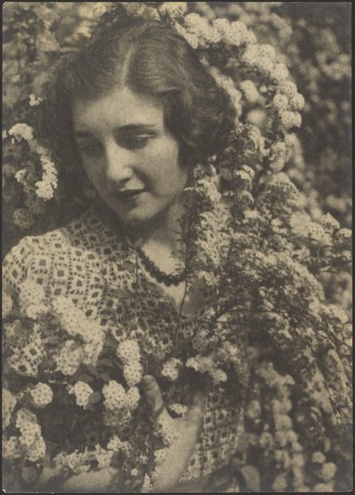 Spirea by Louis Fleckenstein