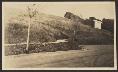 Thousand Oaks by Louis Fleckenstein