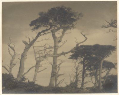 Twin Brothers - Carmel by Louis Fleckenstein