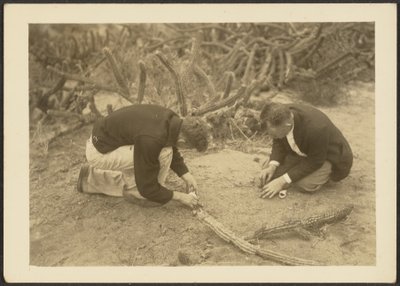 Two Men and Cactus by Louis Fleckenstein