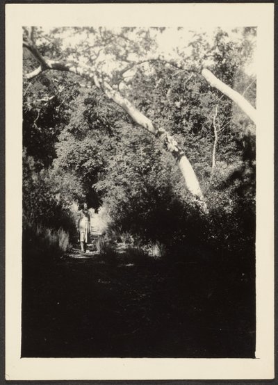 Woman on Path in Woods by Louis Fleckenstein