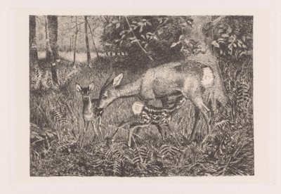 Deer with Two Fawns by Louis Theodor Lindblohm