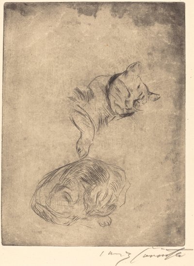Study of Cats by Lovis Corinth