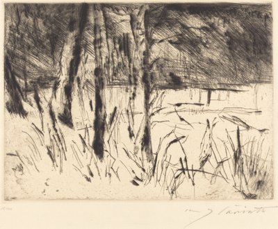 Tiergarten Zoological Garden by Lovis Corinth
