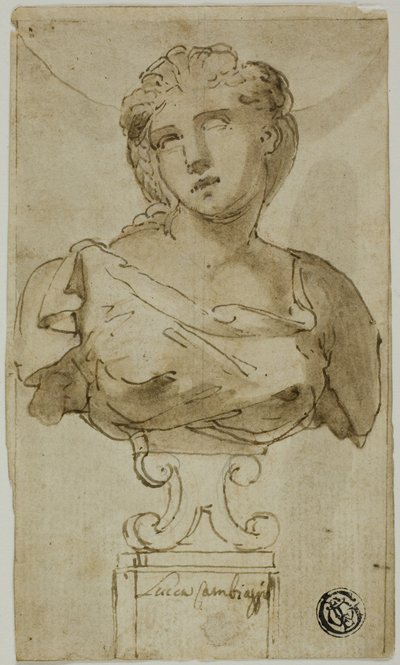Bust of a Woman by Luca Cambiaso