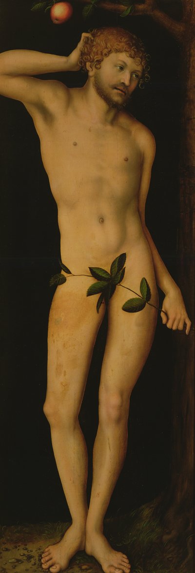 Adam by Lucas Cranach the Elder