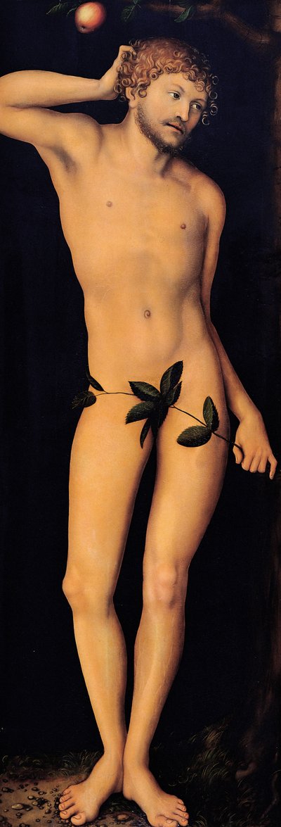 Adam, 1528 by Lucas Cranach the Elder