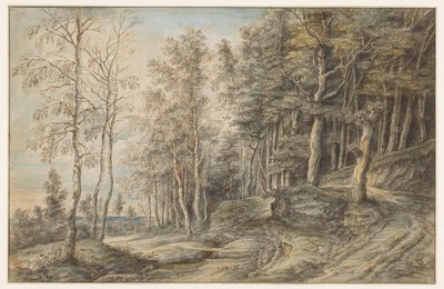 Forest Landscape by Lucas van Uden