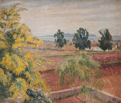 Mimosa Lavendou, 1923 by Lucien Pissarro