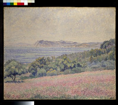 Thistles, Le Brusq by Lucien Pissarro