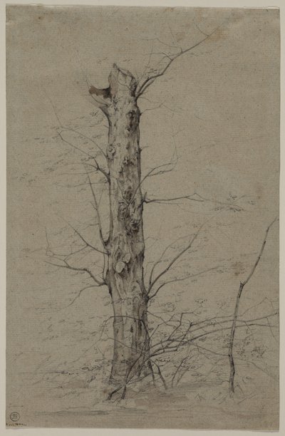 Tree by Ludwig Ferdinand Schnorr von Carolsfeld