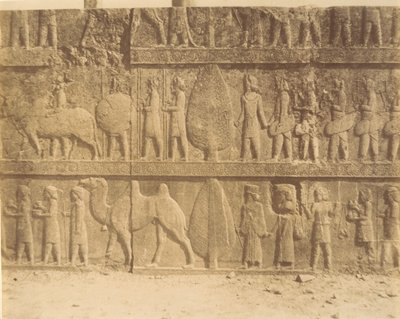 Persepolis by Luigi Pesce