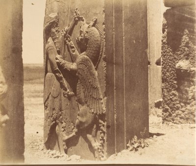 Persepolis by Luigi Pesce