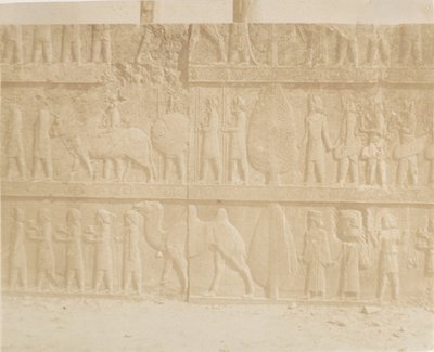 Procession on the Facade of the Great Staircase, 1858 by Luigi Pesce