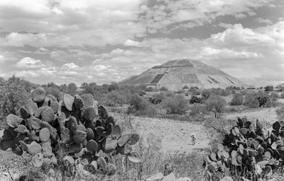 Mayan monumental pyramid, Yucatan peninsula, 1936 by Luis Marden