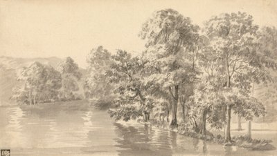 Trees by a Lake by Luke Sullivan