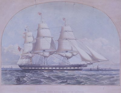 Clipper Ship 