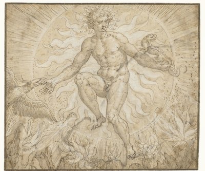 Ignis (Four Elements Series) by Maerten de Vos