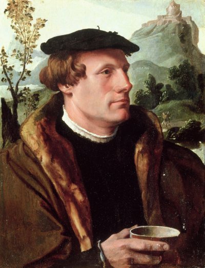 Portrait of a Gentleman by Maerten van Heemskerck