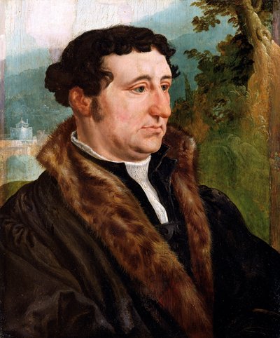 Portrait of a Man by Maerten van Heemskerck