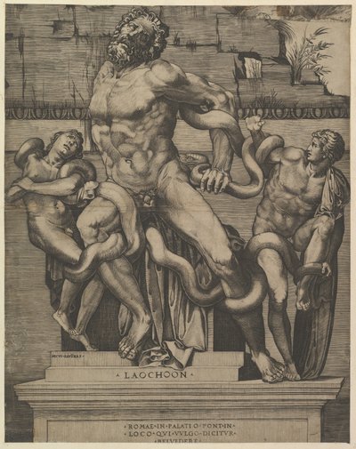 Speculum Romanae Magnificentiae: Laocoon by Marco Dente