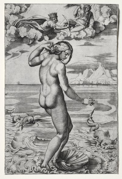 The Birth of Venus by Marco Dente