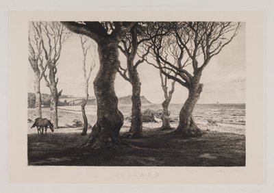 Jutland Landscape by Marcus Bech Fritz