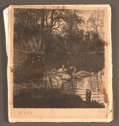 Motif with Swans. Frederiksberg Garden by Marcus Bech Fritz